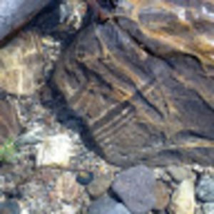 Meet your Posher, Kris